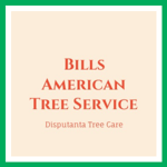 Bills American Tree Service Logo
