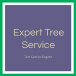 Expert Tree Service Logo