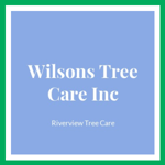 Wilsons Tree Care Inc Logo