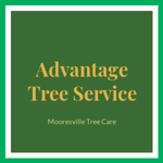 Advantage Tree Service Logo