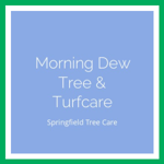Morning Dew Tree &amp; Turfcare Logo