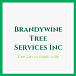 Brandywine Tree Services Inc Logo
