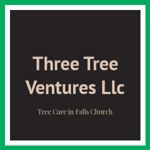 Three Tree Ventures Llc Logo
