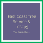 East Coast Tree Service &amp; Ldscpg Logo