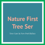 Nature First Tree Ser Logo