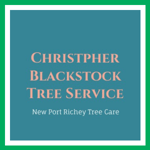 Christpher Blackstock Tree Service Logo