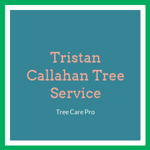 Tristan Callahan Tree Service Logo