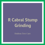 R Cabral Stump Grinding Logo