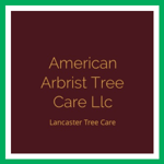 American Arbrist Tree Care Llc Logo