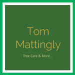 Tom Mattingly Logo