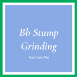 Bb Stump Grinding Logo