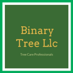 Binary Tree Llc Logo