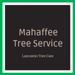 Mahaffee Tree Service Logo