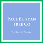 Paul Bunyan Tree Co Logo
