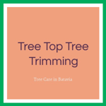 Tree Top Tree Trimming Logo