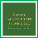 Bryan Jackson Tree Service Llc Logo