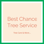 Best Chance Tree Service Logo