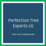 Perfection Tree Experts Llc Logo