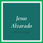 Jesus Alvarado Logo