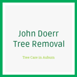 John Doerr Tree Removal Logo