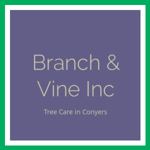 Branch &amp; Vine Inc Logo