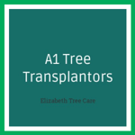 A1 Tree Transplantors Logo