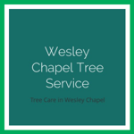 Wesley Chapel Tree Service Logo