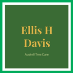 Ellis H Davis Logo