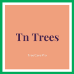 Tn Trees Logo