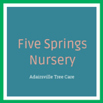 Five Springs Nursery Logo