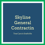 Skyline General Contractin Logo