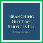 Branching Out Tree Services Llc Logo