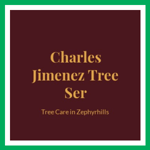 Charles Jimenez Tree Ser Logo