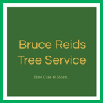 Bruce Reids Tree Service Logo