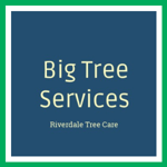 Big Tree Services Logo