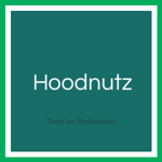 Hoodnutz Logo