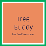 Tree Buddy Logo