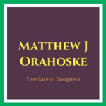 Matthew J Orahoske Logo