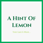 A Hint Of Lemon Logo