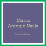 Marco Antonio Navia Logo
