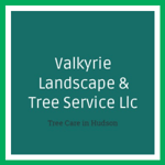 Valkyrie Landscape &amp; Tree Service Llc Logo