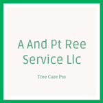 A And Pt Ree Service Llc Logo