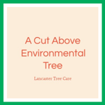 A Cut Above Environmental Tree Logo