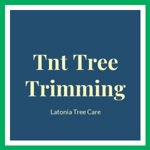 Tnt Tree Trimming Logo