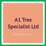 A1 Tree Specialist Ltd Logo