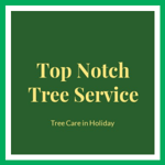Top Notch Tree Service Logo