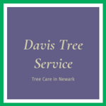 Davis Tree Service Logo