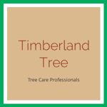Timberland Tree Logo