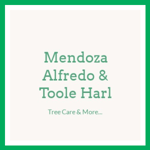 Mendoza Alfredo &amp; Toole Harl Logo