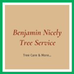 Benjamin Nicely Tree Service Logo